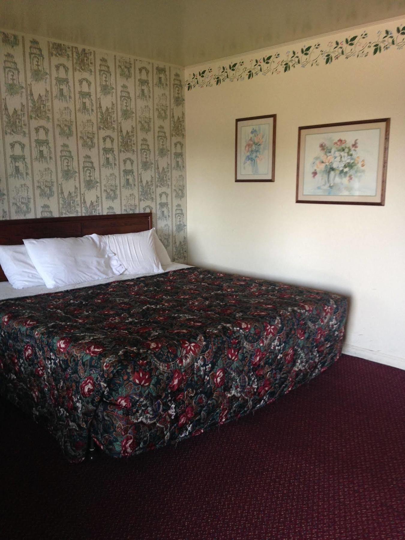 Heidelberg Motel Bridgeport Extérieur photo